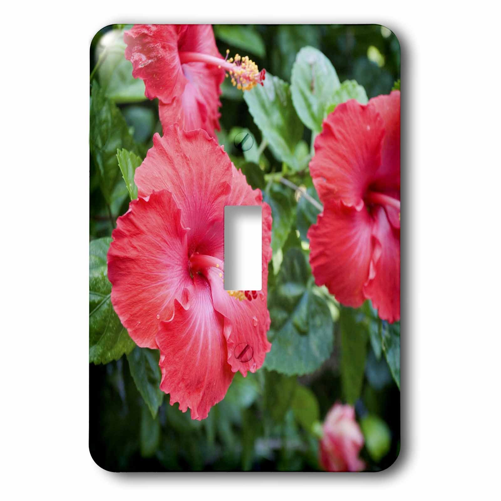 Interrupteur à bascule simple 3dRose lsp_83396_1 plaque murale motif hibiscus