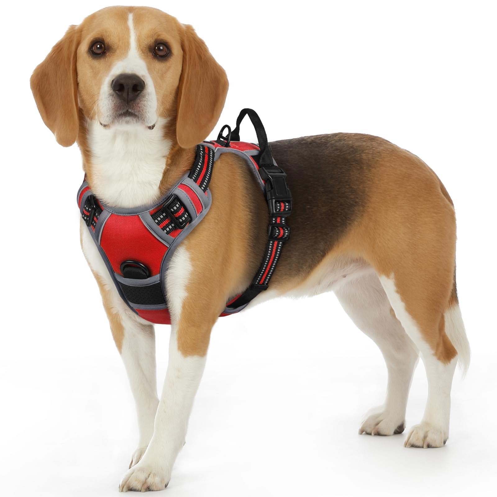 Eagloo Pettorina Cane Taglia Piccola, Pettorina ad h Antifuga, Imbracatura per Cani Anti Tiro con Doppio Gancio, Imbracatura Robusto e Regolabile per Addestramento Passeggiate, S, Rossa