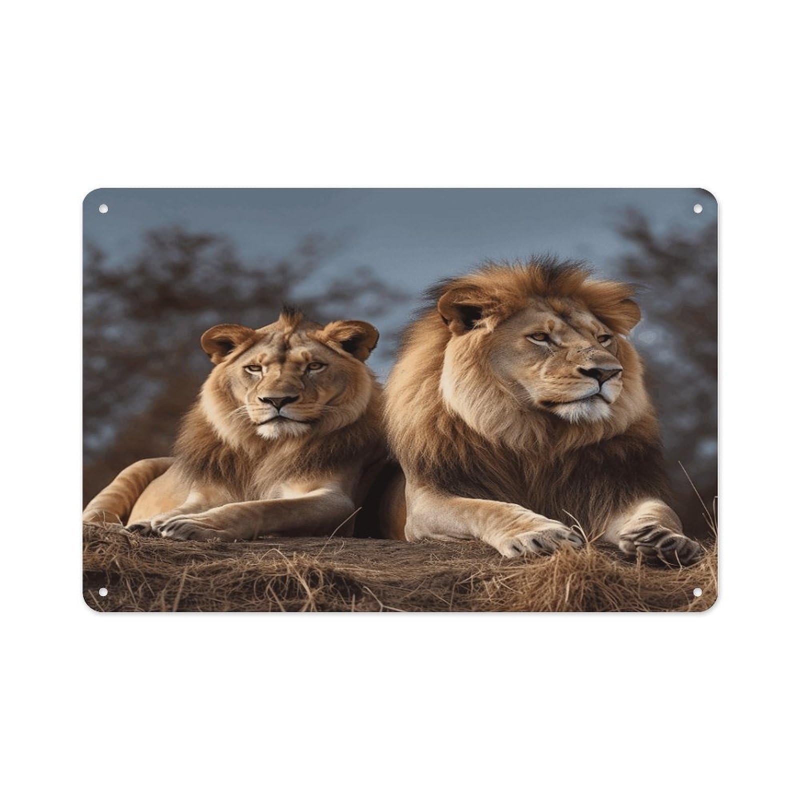 VstaDank Metal Aluminum Two Lions Sign Wall Decor Vintage Metal Sign Plaque Boho Wall Hanging Decor Sublimation Picture Panel Personalized Plaque Poster 8x12in