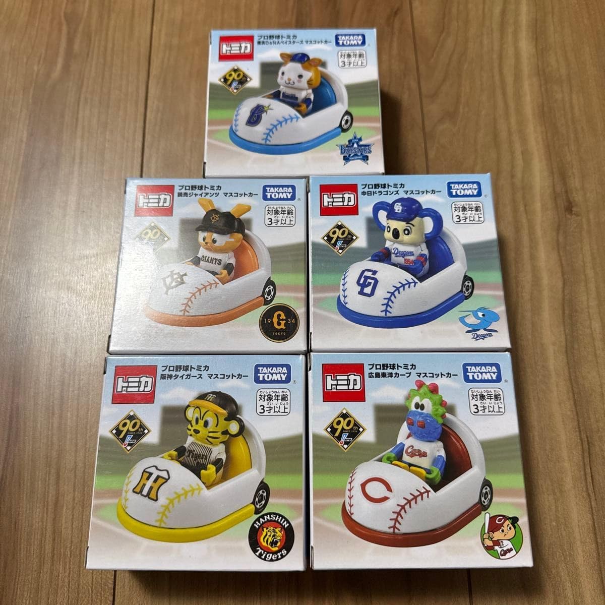 書道掛け軸 中国 安居の歌 肉筆