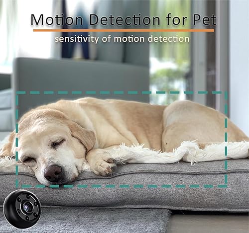 Miniatura 3 de Mayycinco Mini collar de cámara HD para gatos, cámara para perros con video, cámara de vigilancia de seguridad para mascotas con visión nocturna,