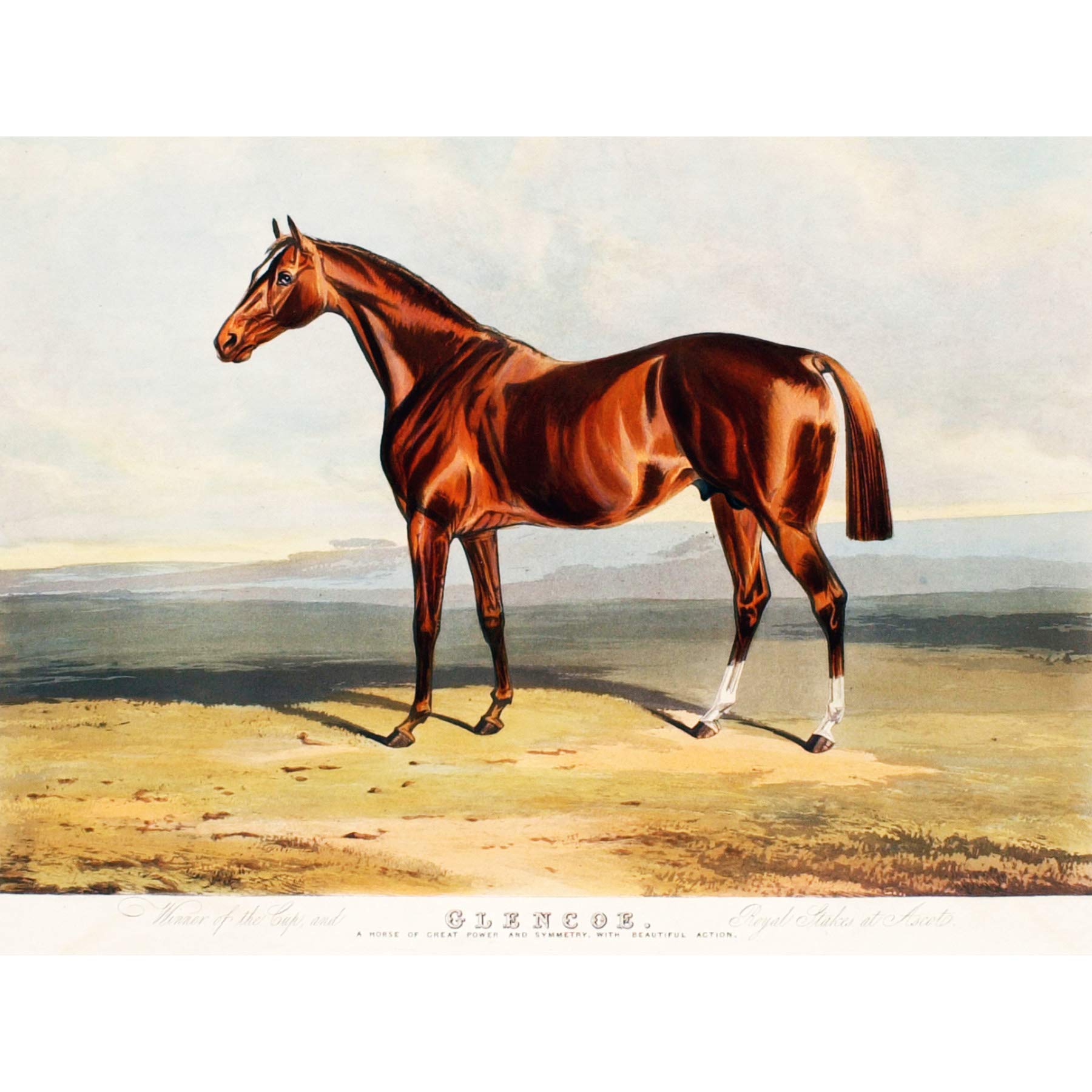 HORSE 油絵アート Amazon.co.jp: Edward Duncan Glencoe Equine Horse 1836