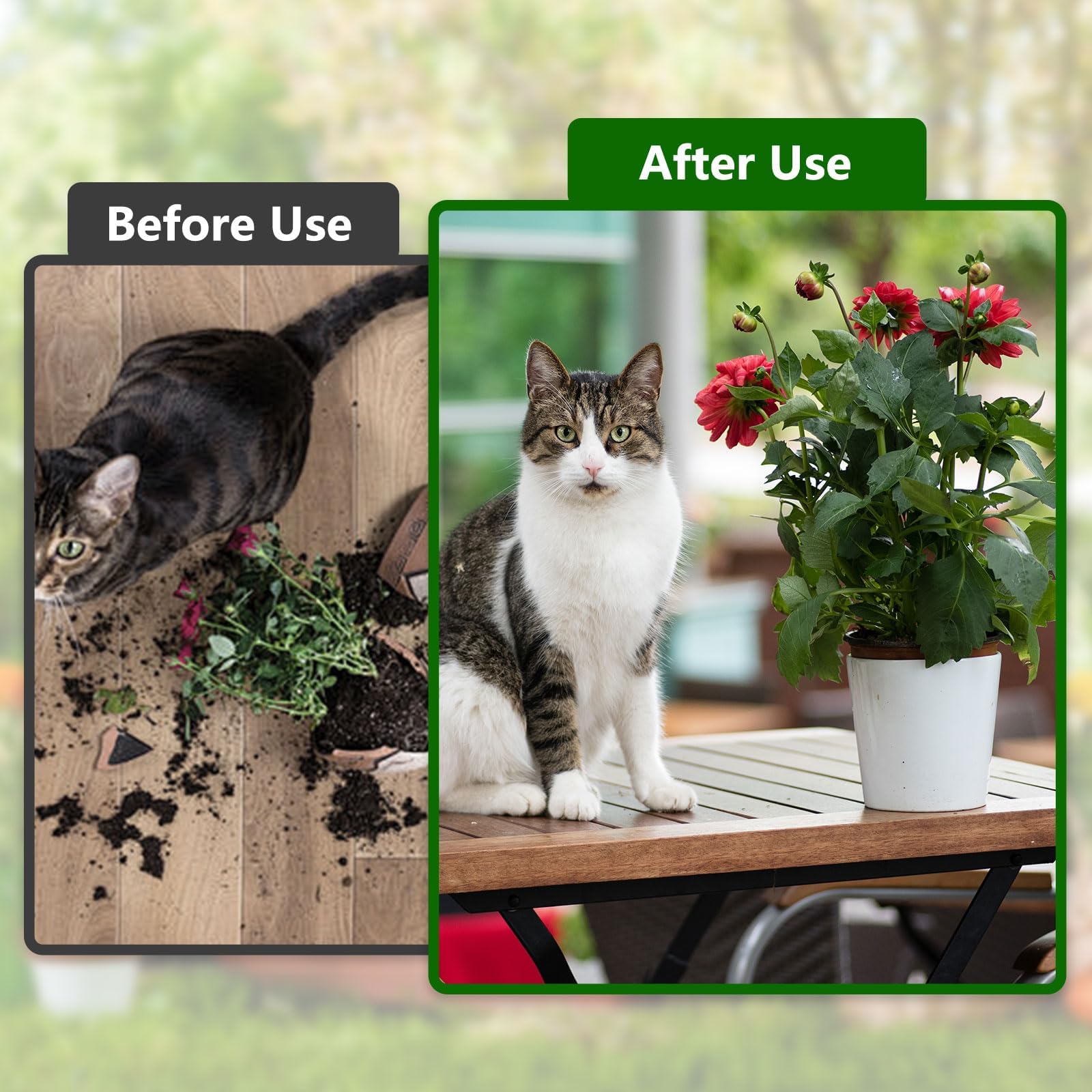GVSS Grille Protection Plante Chat Rond 30 cm, Protection Plante Chat,Protege Plante Chat,Grille de Protection pour Pot de Plantes avec Boulons en ABS,Protège vos Plantes des Chats et Débris