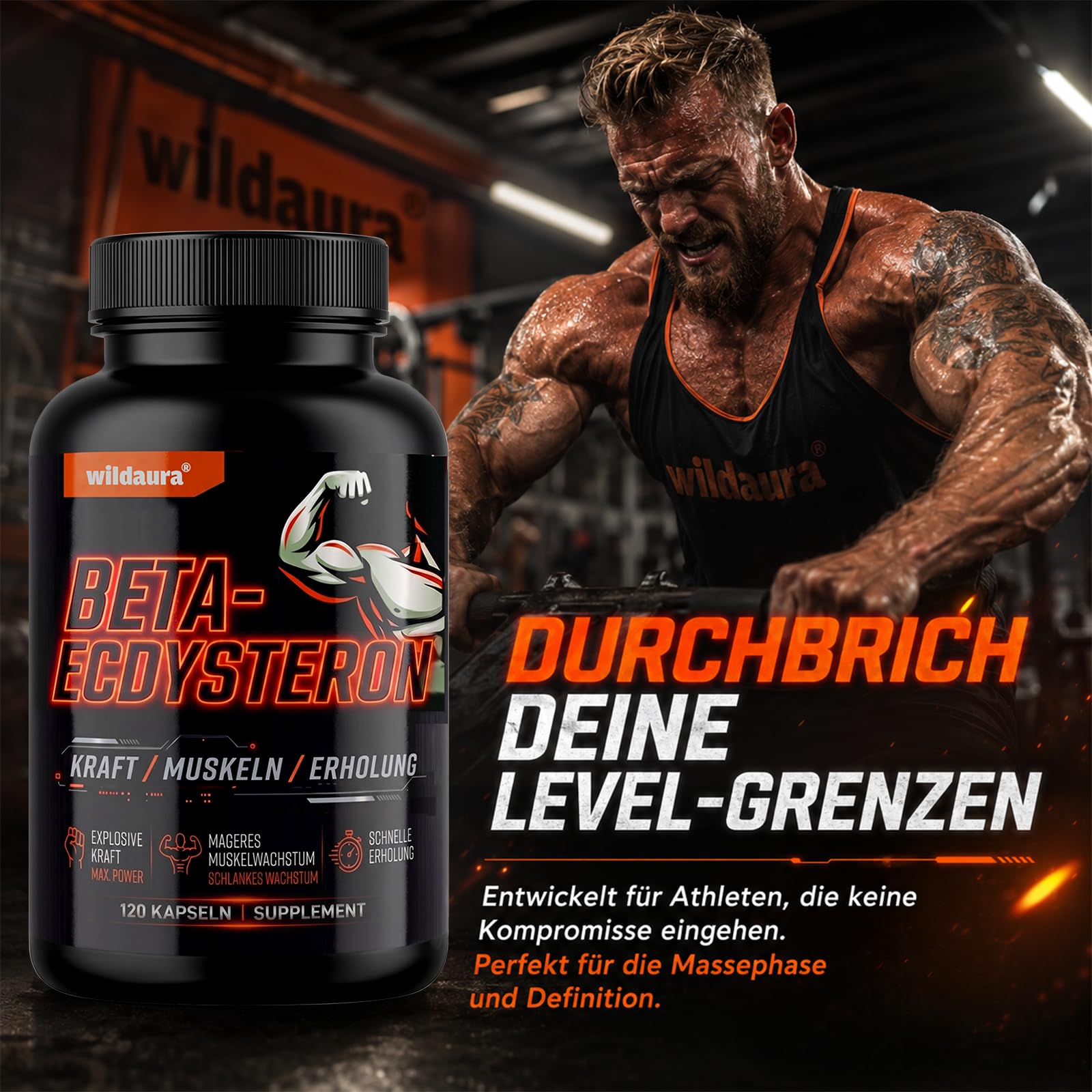 Beta Ecdysteron, 1200mg Hohe Reinheit Ecdysterone Supplement für Muskelaufbau, Fitness & Kraftsport, 120 Vegane Kapseln