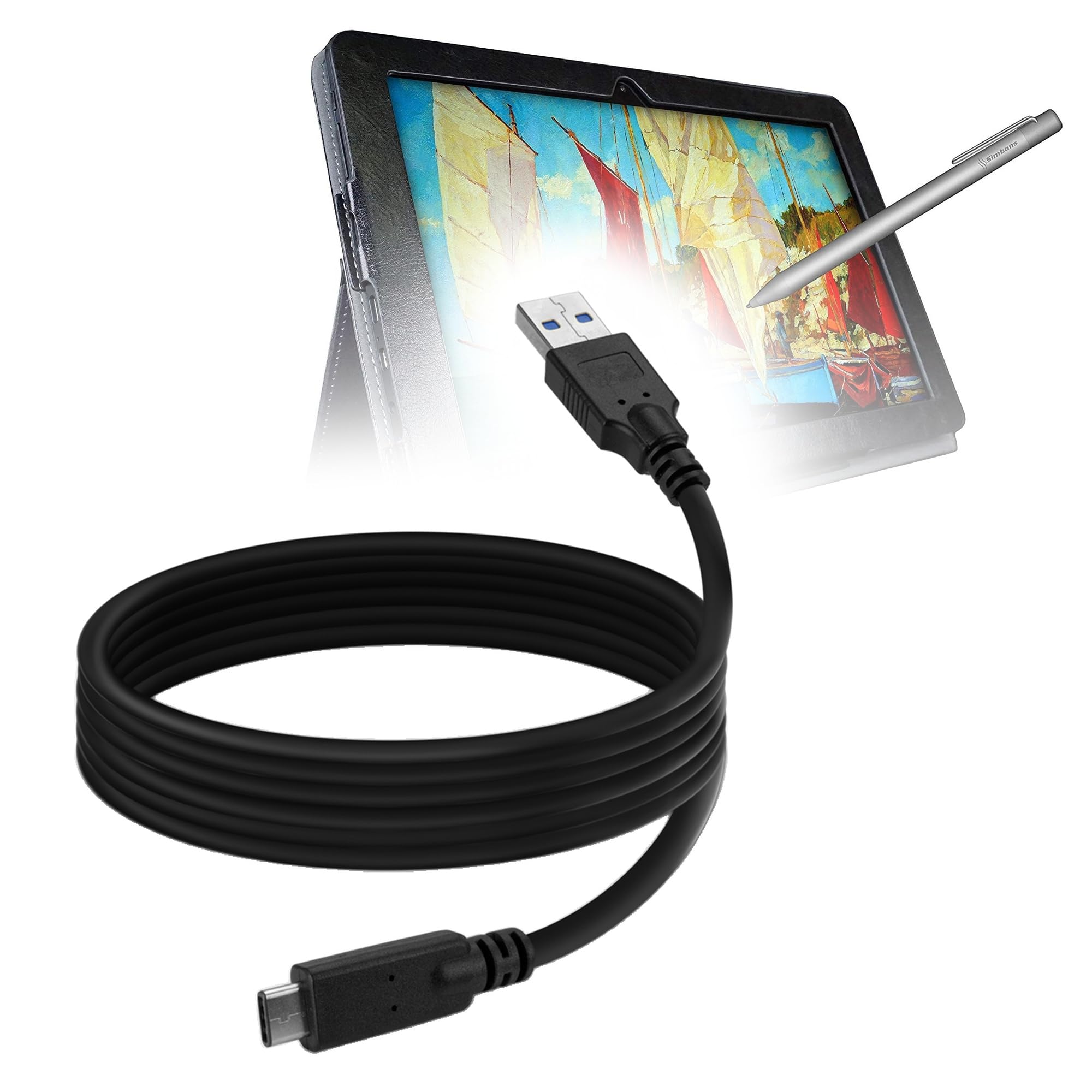 Amazon.com: BoxWave Cable Compatible with Simbans PicassoTab 10