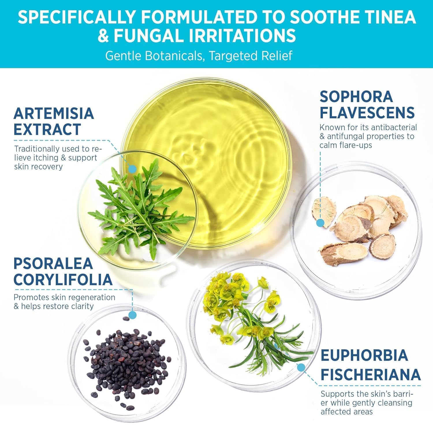 Tinea Versicolor Relief Cream & Soap: Klinisch bewährte Behandlung für Tinea Versicolor, Fußpilz, Ringwurm und Pilzhauterkrankungen – beruhigt, reinigt und stellt die Hautgesundheit wieder her (NEU)
