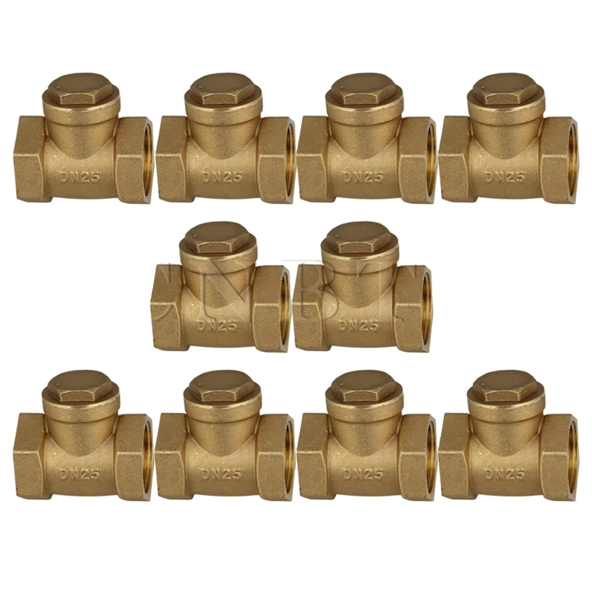 Clapet Anti-Retour 1'' Filetage Femelle Laiton Swing Paquet de 10