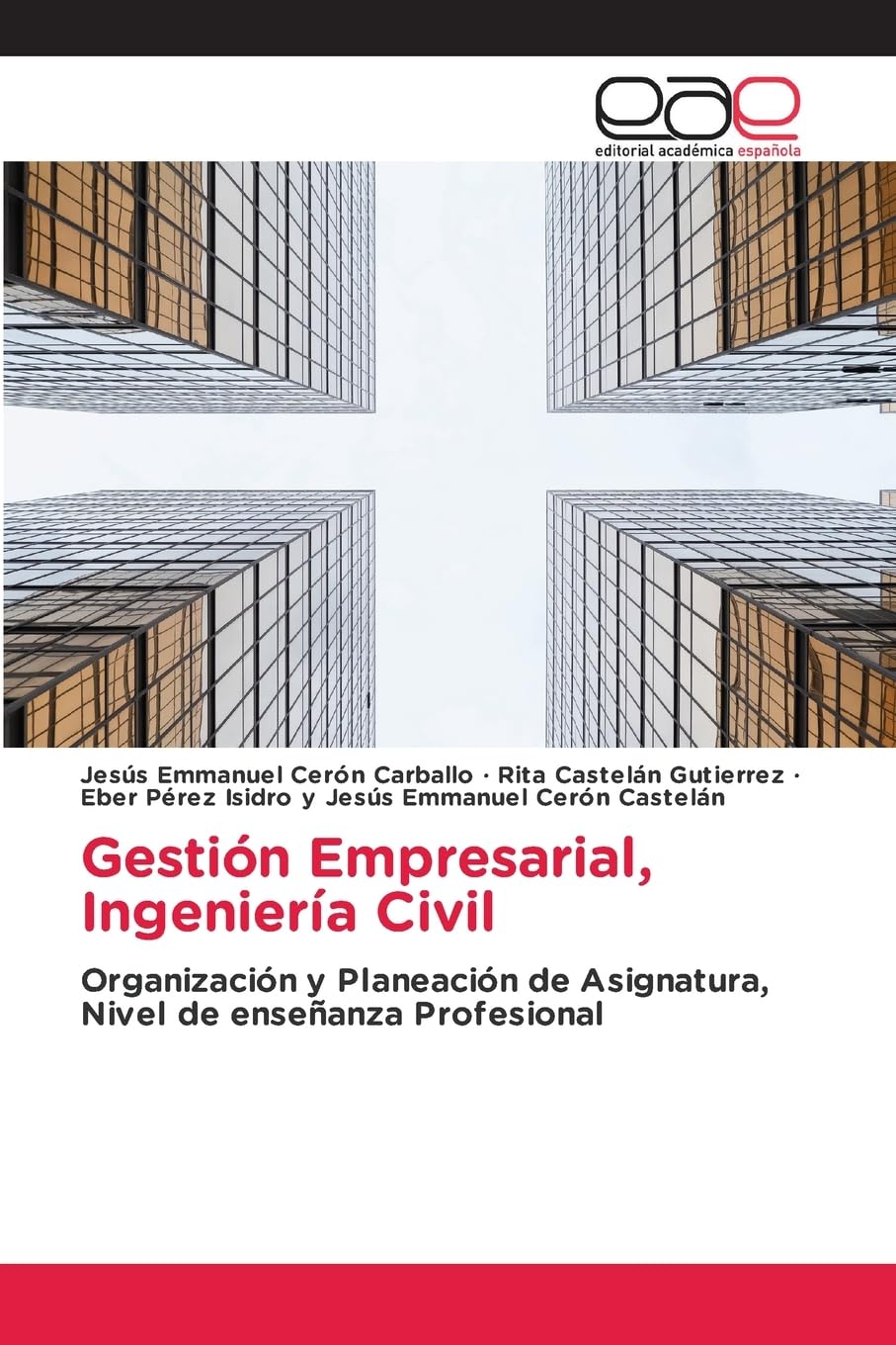 Gestión Empresarial, Ingeniería Civil: Organización y Planeación de Asignatura, Nivel de enseñanza Profesional