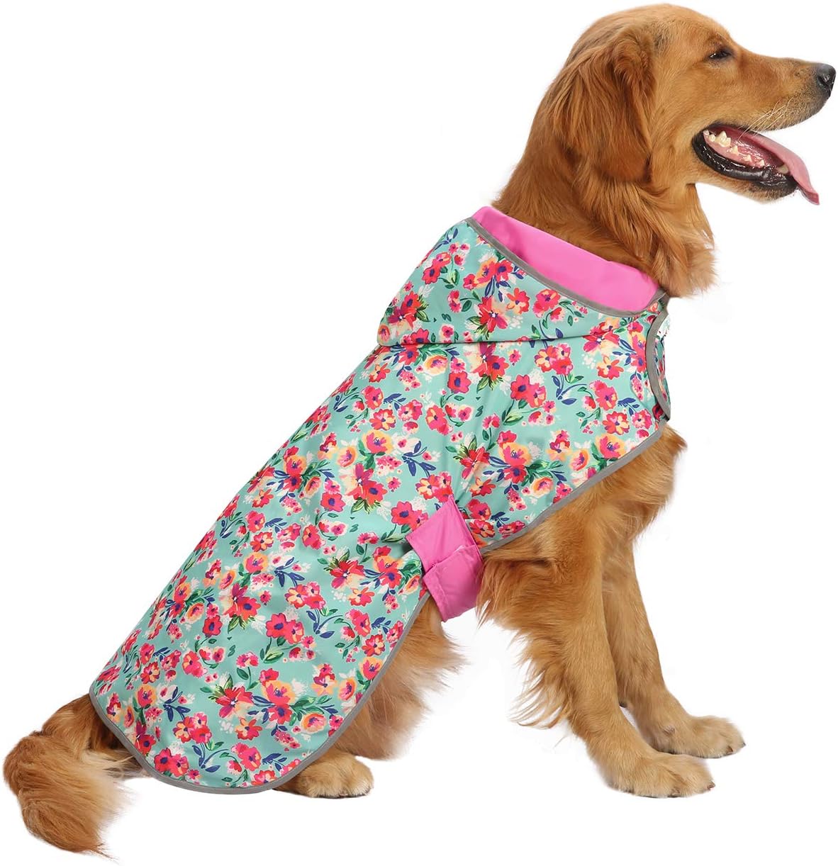 Raincoat for dogs online Clearance