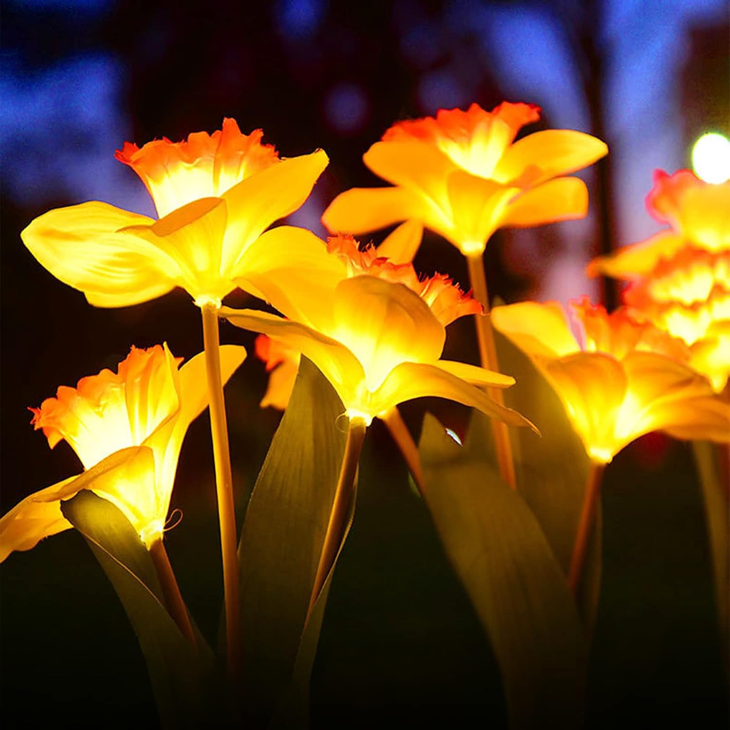 IGRARK Solar Daffodil Flower Lights, 2 Pack Outdoor Solar Powered