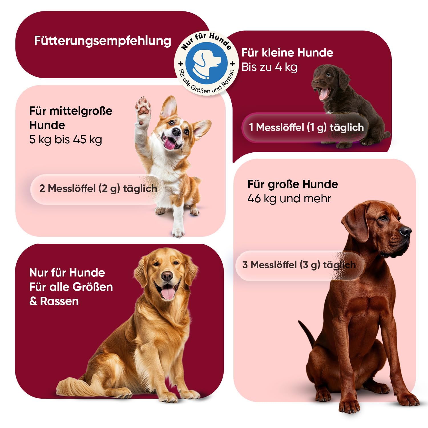 animigo Flohpulver - Zeckenschutz für Hunde - 100 g Pulver - Mit zusätzlichen Vitaminen, Mineralien & Aminosäuren wie Bierhefe, Zink, Vitamin B3, B1 & B2 - Hühngeschmack - Flohmittel Hund