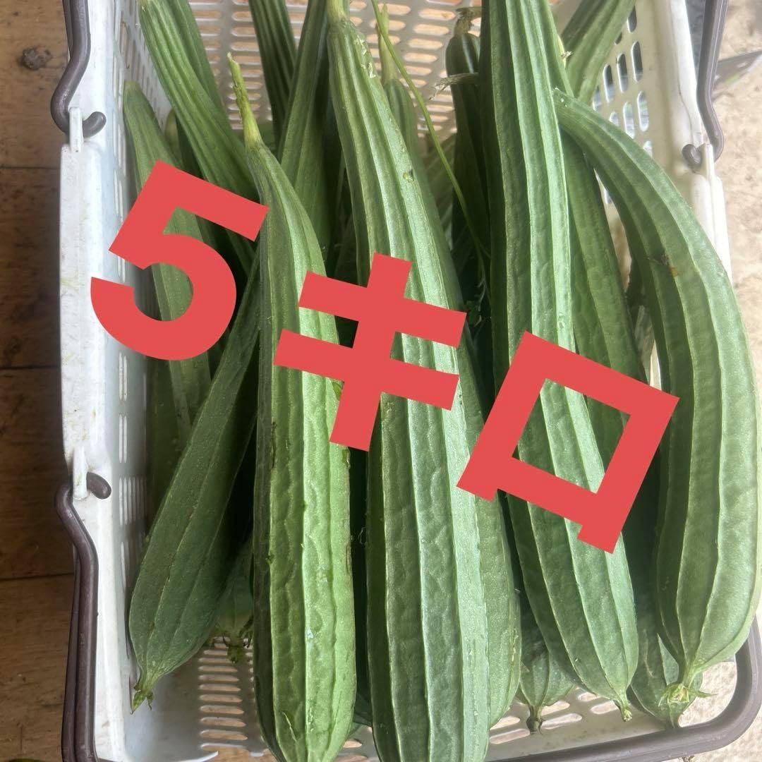 ５キロ ご検討ください