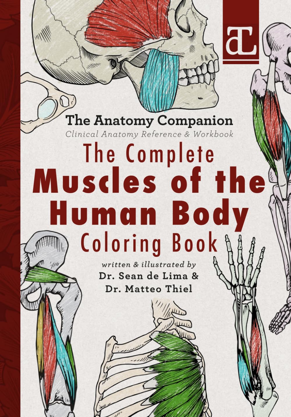 The Complete Muscles of the Human Body Coloring Book: The Anatomy Companion: Clinical Anatomy Reference & Workbook