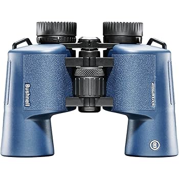 Amazon | Bushnell (ブッシュネル) H2O 10x42mm 双眼鏡 防水
