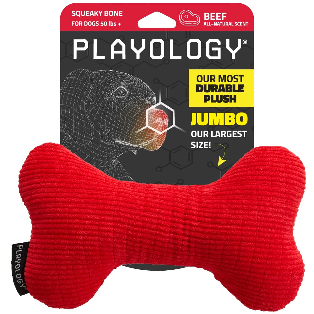 Os couineur Playology grand modèle, peluche pour chien aromatisée bœuf