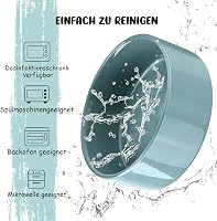 SPUNKYJUNKY 15° dönthető kerámia tál kutyáknak macskáknak 400ml világoszöld 6