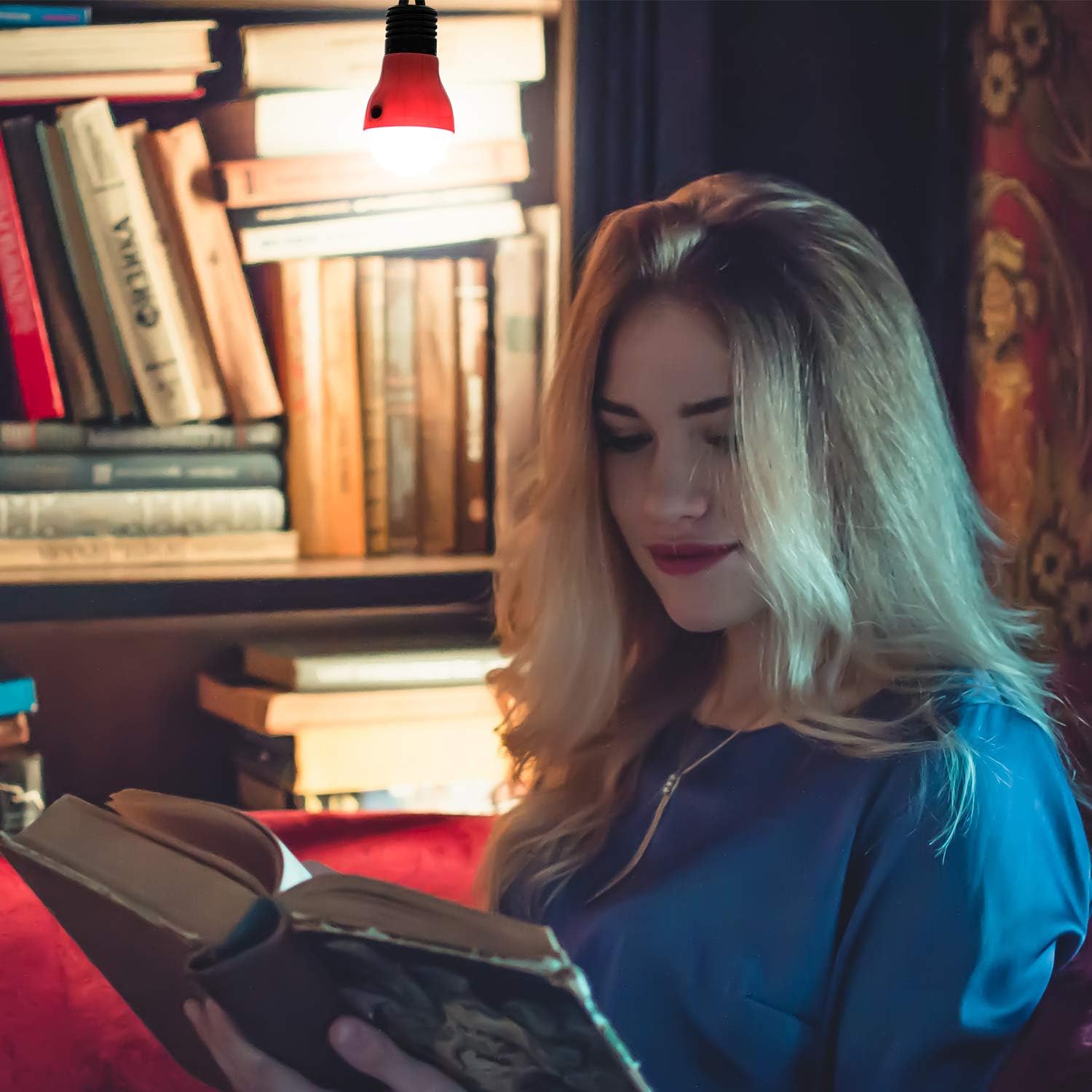 EverBrite 3-Pack Camping Lights - 3 Lighting Modes, Portable LED Bulbs Ideal for Kids’ Adventure Activities, Backpacking, Camping, Picnic, Emergency and More, 3 x AAA Batteries Included : Sports & Outdoors