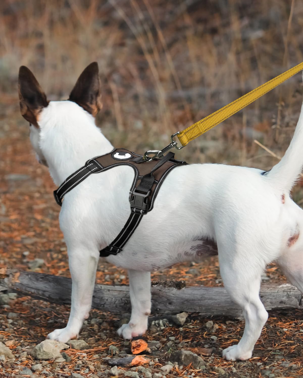 Joytale Guinzaglio per Cani,1.8m x 2cm,Doppia-faccia Catarifrangente Guinzaglio per Cane Imbottito con maniglia, Guinzaglio Addestramento per Cani di Taglia Piccola Media,Marrone