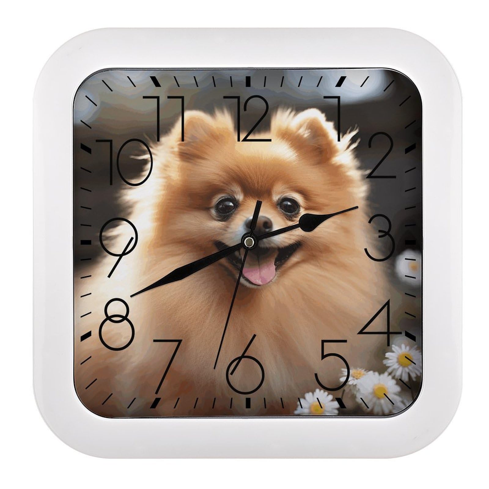 LZQPOEAS Pomeranian Dog Square Wall Clock, 10.2 Inch Battery Operated Silent Non-Ticking Wall Clock, Square Analog Decorative Clock for Home Wall Art, Living Room, Bedroom, and Office