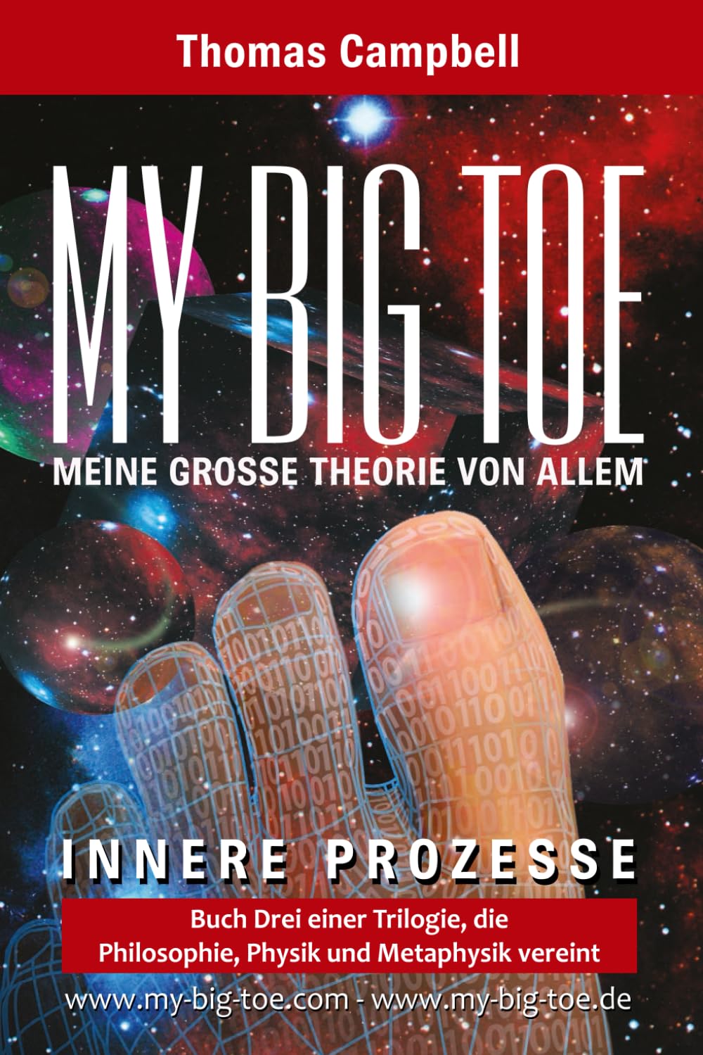 MY BIG TOE - MEINE GROSSE THEORIE VON ALLEM - Buch 3 - Innere Prozesse