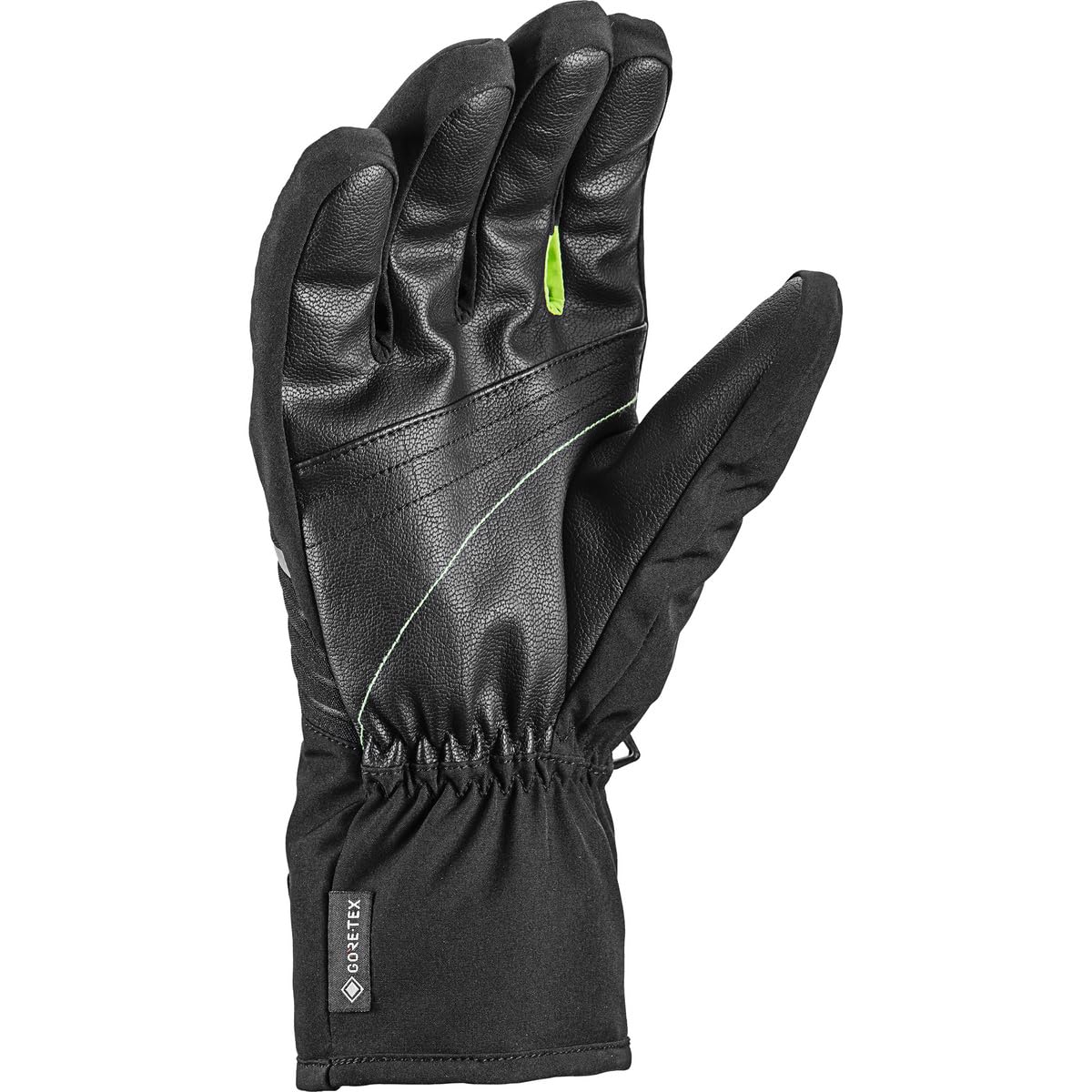 LEKI HS Vision GTX