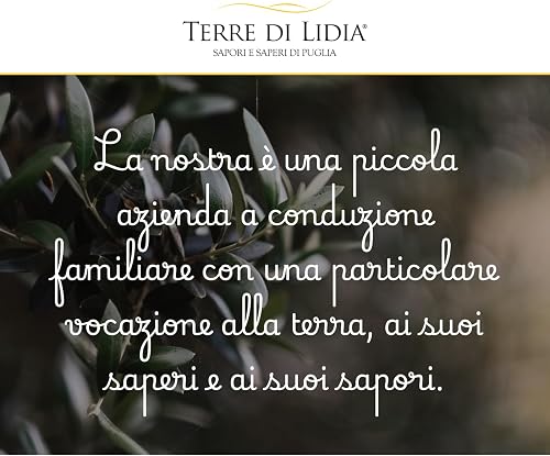 Terre di Lidia - Olio extravergine di oliva - 1 bag in box (5 L) - scatola con rubinetto laterale - Filiera corta, Campagna 2025/2026 - Varietà Ogliarola, Gusto Delicato - Produzione 100% italiana - 8