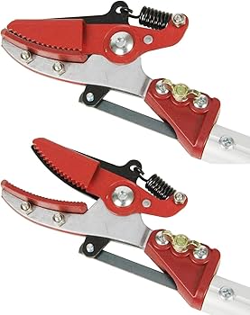 Amazon | 千吉(Senkichi) 高枝切鋏 強力 剪定 伸縮 3m 1.4m～3m伸縮(6