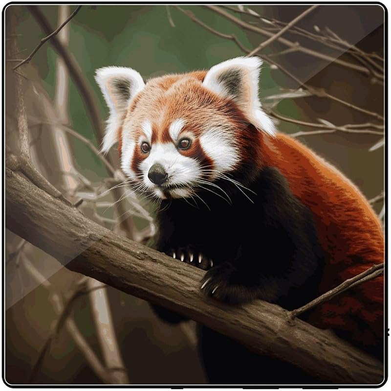 Round Glass Refrigerator Magnets Stickers One Size, Personalized | Red Panda on Tree Branch Fridge Magnets for Whiteboard, Portable Strong Magnetic Adhesive Sheets for Home