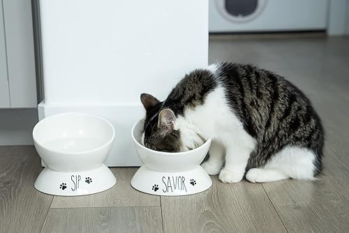 Miniatura 5 de Juego de cuencos elevados para comida plato para gatos, dos cuencos elevados para comida y agua, porcelana, inclinados para comer fácilmente