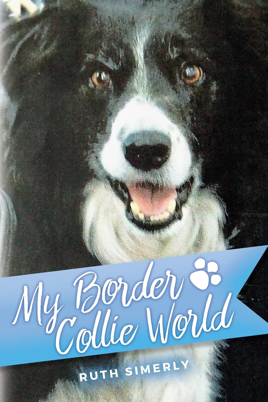 My Border Collie World