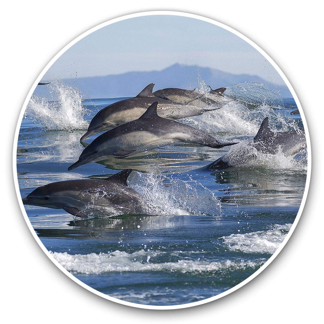 Destination Vinyl Ltd Ocean Dolphin Pod Swimming 15779 Vinyl Stickers (Set Of 2) 15Cm - Ocean Dolphin Pod Swimming Laptop Tablet Luggage Scrapbook #15779