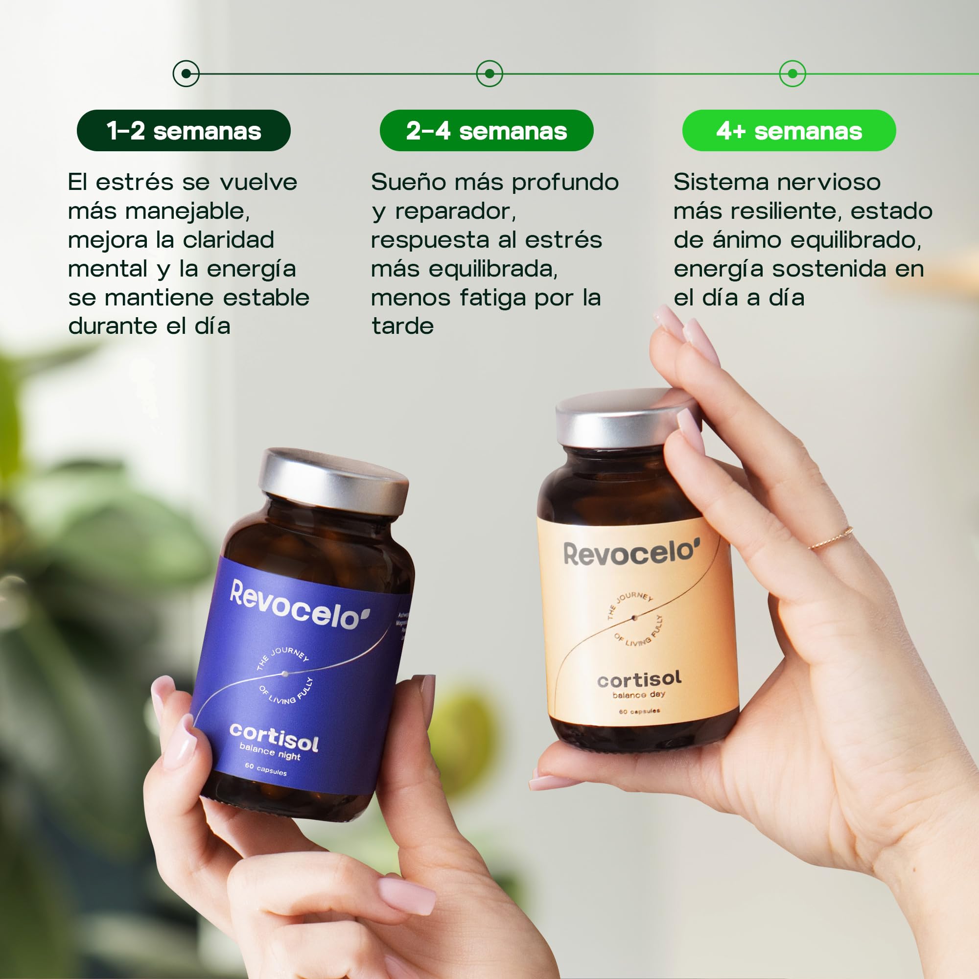Cortisol Balance - Fórmula antiestrés - KSM-66® Ashwagandha, L-teanina | 6+ adaptógenos sistema de 2 frascos para relajación y concentración, testado en laboratorio, EU, 120 cápsulas