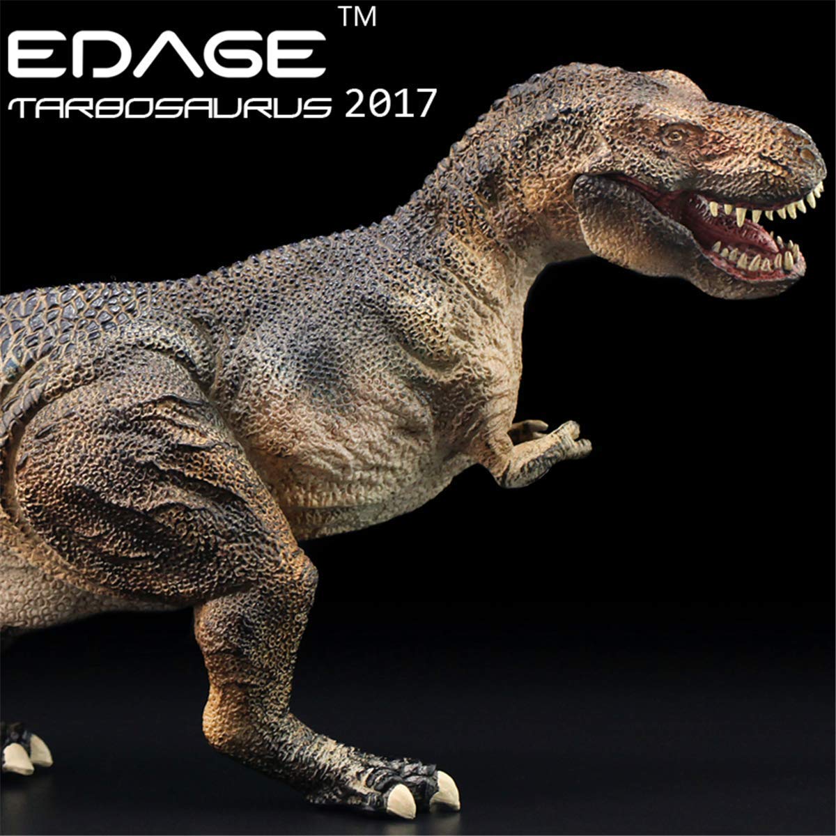 Amazon | EDAGE 1/35 サイズ タルボサウルス Tarbosaurus 竜脚類 肉食
