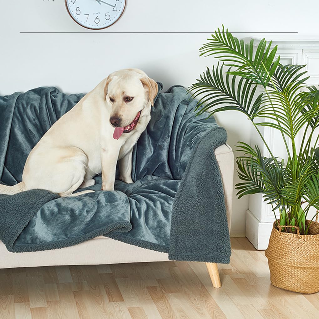 Manta Impermeable para Perros, Muebles adecuados para Todas Las Razas, Tela práctica, Manta Impermeable para Perros, Manta para Gato, Negro XL
