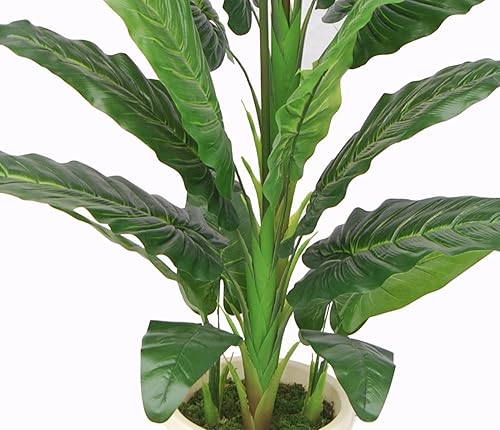 Miniatura 3 de AMERIQUE Único y hermoso gran flor de pájaro del paraíso de 5 pies, tecnología real táctil, con maceta de plástico para guardería, con protección