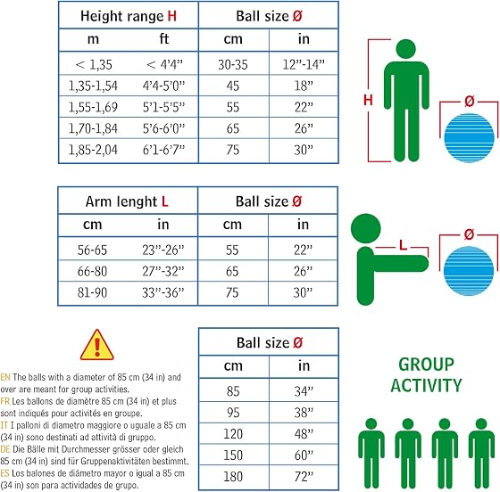 ギムニク ギムニク(GYMNIC) 55の商品画像