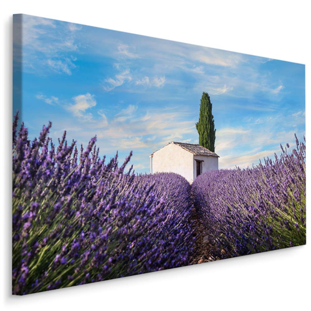 Muralo Wandbild Blumen, Lavendel, Natur, Landschaft - 120x80 cm | Leinwandbild, Modernes Design, hochauflösender Druck - ideal für Schlafzimmer und Wohnzimmer, Frühlingsflair das ganze Jahr
