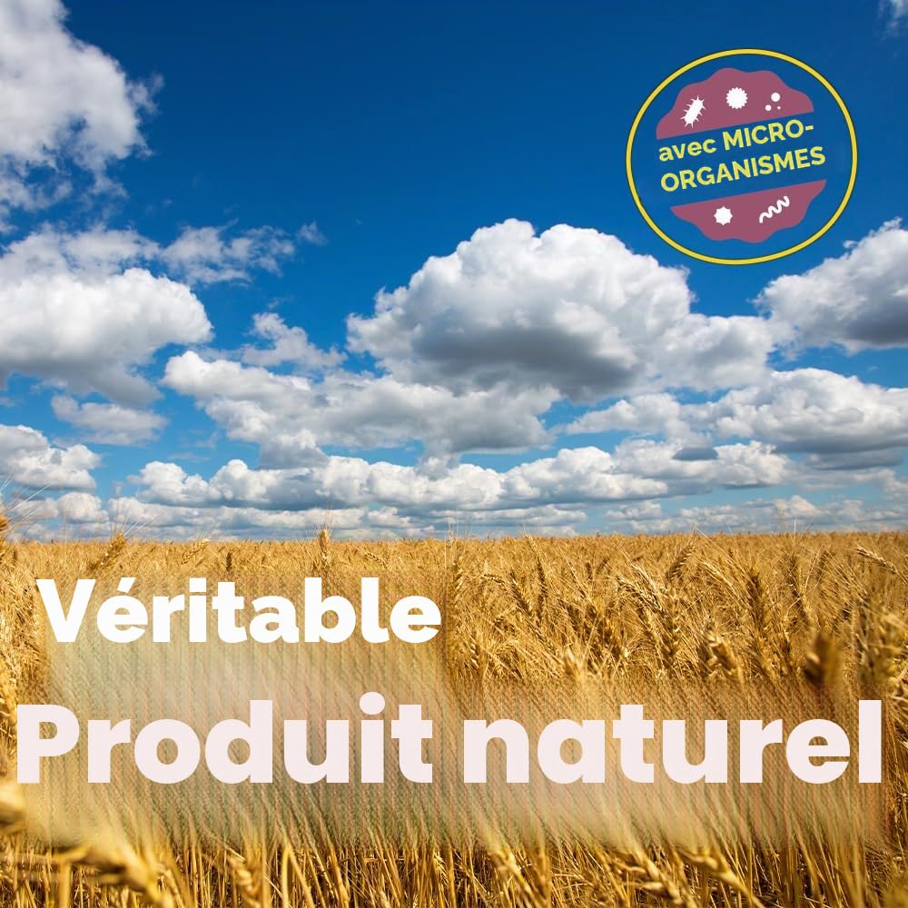 DIMIKRO® Microorganismes efficaces actifs universels Blond – EMa – EM actif – Prêt à l'emploi pour la maison et le jardin – 100 % végétalien et naturel (bidon de 5 litres)