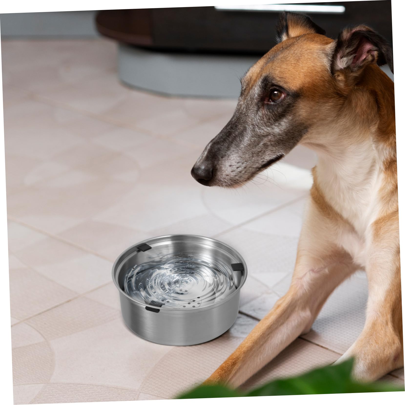 GARVALON Langsamer Trinknapf für Hunde aus Rostfreiem Edelstahl Auslaufsicherer Antischlingnapf mit Erhöhtem Design zur Gesunder Flüssigkeitsaufnahme für Haustiere