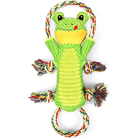 Pet Supplies : Letsmeet Dog Squeak Toys Plush Dog Toy with Crinkle
