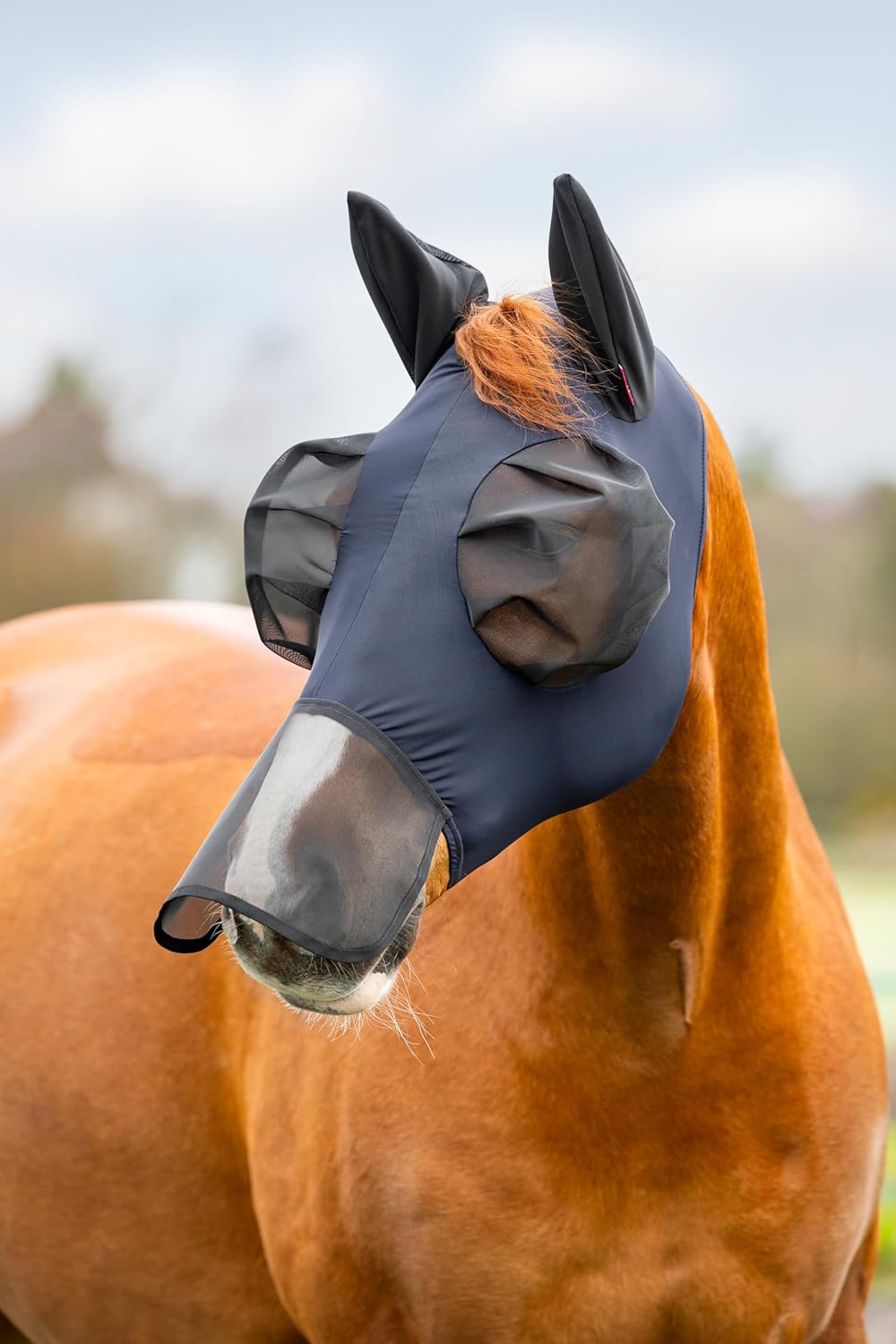 LeMieux Bug Relief Full Mask - Fly Mask - UV Protection - Pull On - Breathable - Nose Cover - Navy - Small