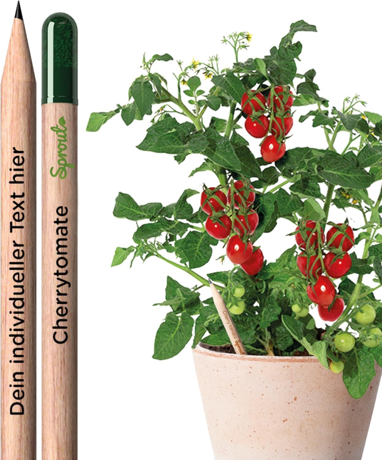 Sprout World Lápices Plantables Personalizados Tomate Cherry para eventos | Logotipo, texto o símbolo impreso a color, para empresas, eventos y bodas, regalo ecológico original, para escuela y oficina