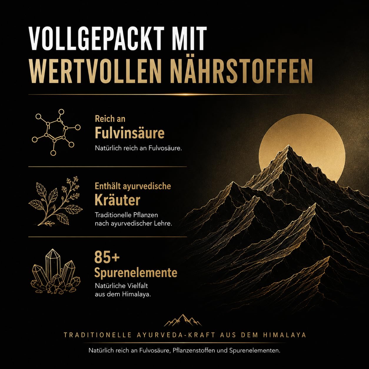 Shilajit aus dem Himalaya mit Hohem Fulvinsäure Gehalt, 600 mg Shilajit-Harz mit Ayurveda-Kräuterextrakten, Goldstandard, 30g (2er Pack)