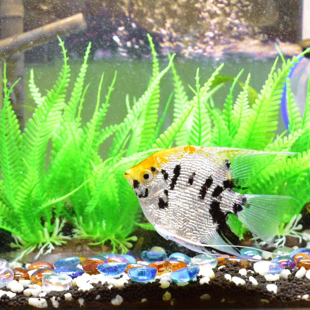 Amazon.co.jp: Hagao ガラスビーズ フラットガラス ミックスカラー