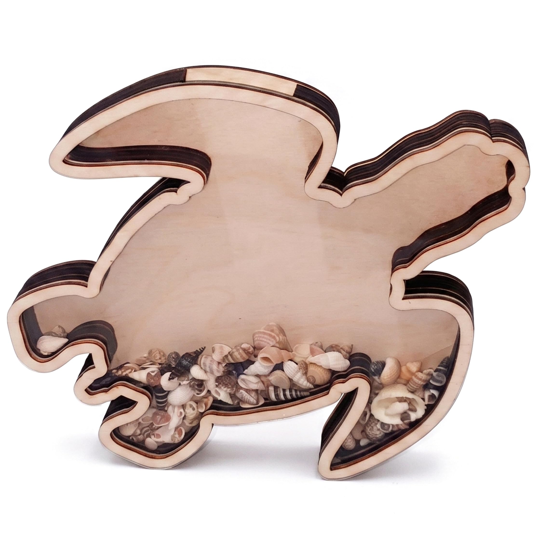 Monwssoe Boxes, Seashell Display, Wooden Turtle Box, Seashell Display Case & Desktop Storage Holder, Wood Decorative Organizer