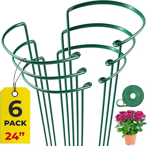Estacas altas de soporte para plantas  Jaulas de peonía semicirculares de 10 pulgadas de ancho x 24 pulgadas de alto y soportes para plantas de