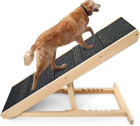 paw ramp amazon