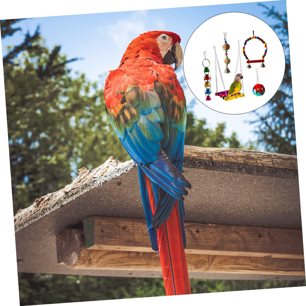 Lot De 5 Jouets À Mâcher pour Oiseaux Jouets À Mordre pour Perroquets