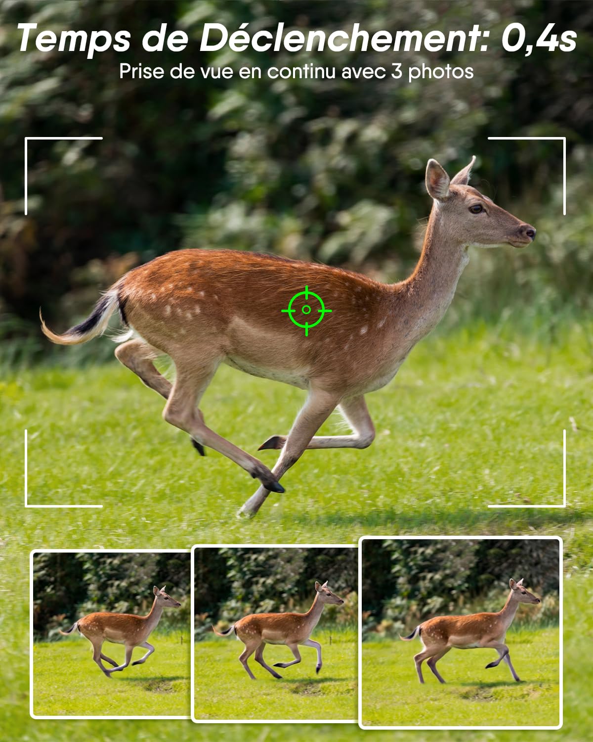 Rollei Camera de Chasse 4G 4K avec Carte Sim/Carte SD 32Go/App Mobile | Caméra Chasse Connectée Smartphone avec Détecteur de Mouvement Infrarouge Vision Nocturne Animaux Camera avec Batterie IP66