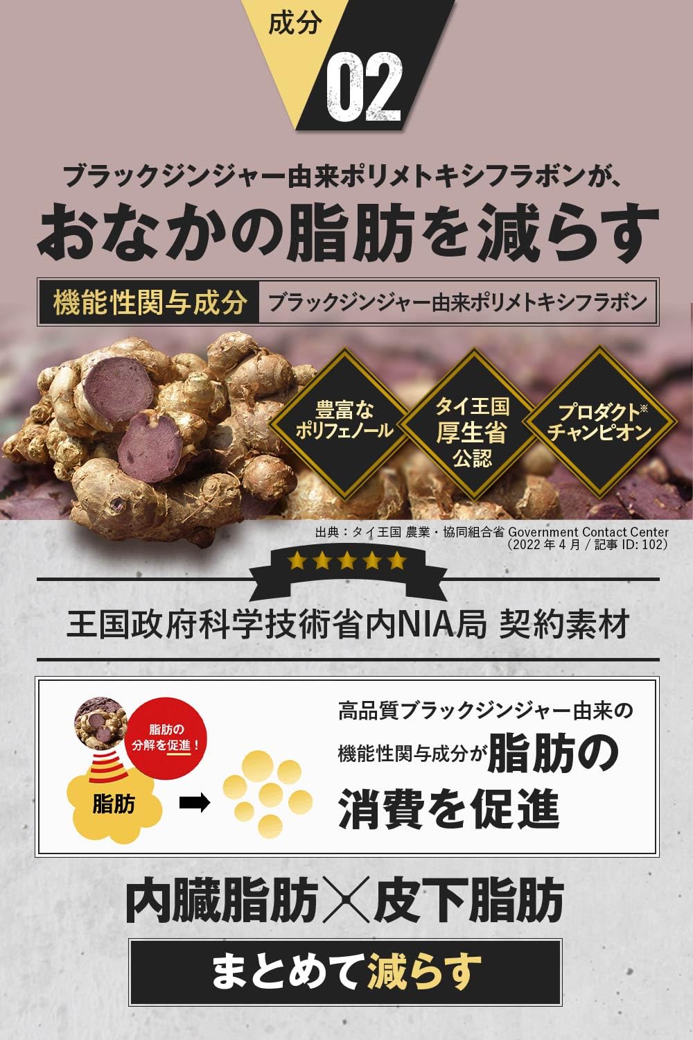Amazon.co.jp: 【Endorsed by Takada Nobuhiko x Medical Supervision